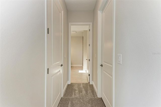 2058 ARCHING BRANCH DRIVE, Zephyrhills, FL 33541