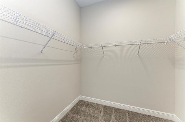 2058 ARCHING BRANCH DRIVE, Zephyrhills, FL 33541