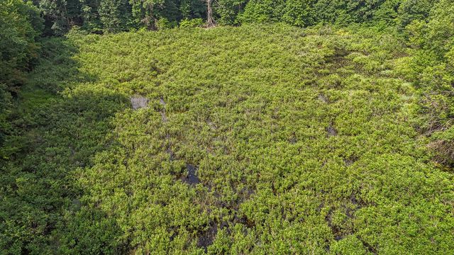 86960 County Road 681, Decatur, MI 49045
