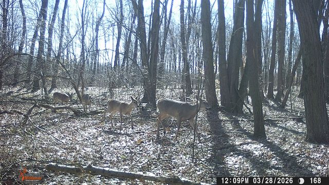 86960 County Road 681, Decatur, MI 49045