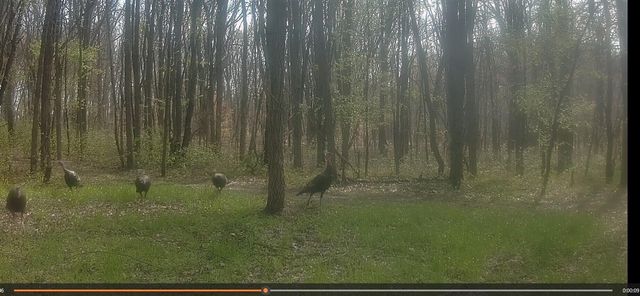 86960 County Road 681, Decatur, MI 49045