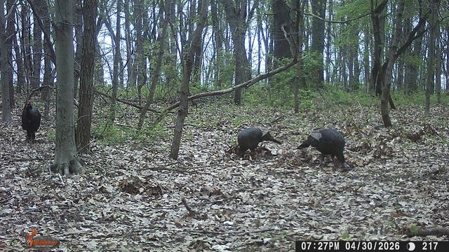 86960 County Road 681, Decatur, MI 49045