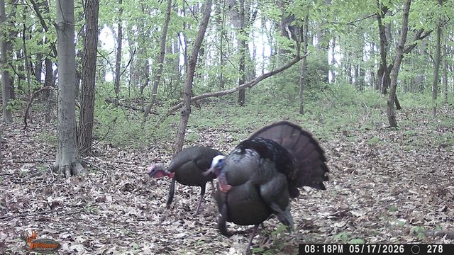 86960 County Road 681, Decatur, MI 49045