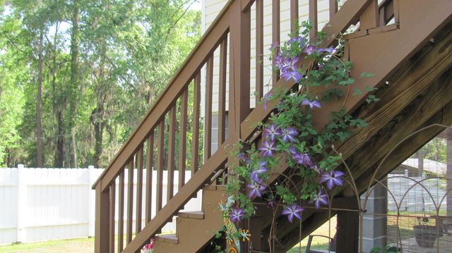 5271 Prices Bridge Lane, Walterboro, SC 29488