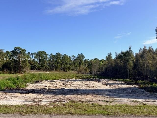 870 E Arturo St, Lehigh Acres, FL 33974