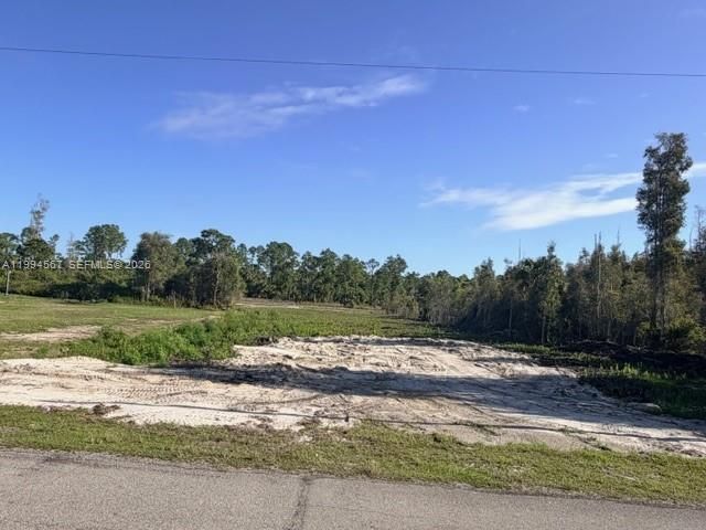 870 E Arturo St, Lehigh Acres, FL 33974