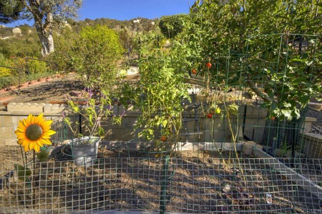 8975 Lawrence Welk Dr 314, Escondido, CA 92026