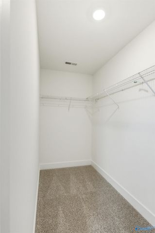 14098 Wildflower Drive, Harvest, AL 35749