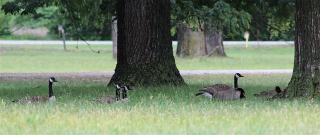 13477 State HWY 74B, Blanchard, OK 73010