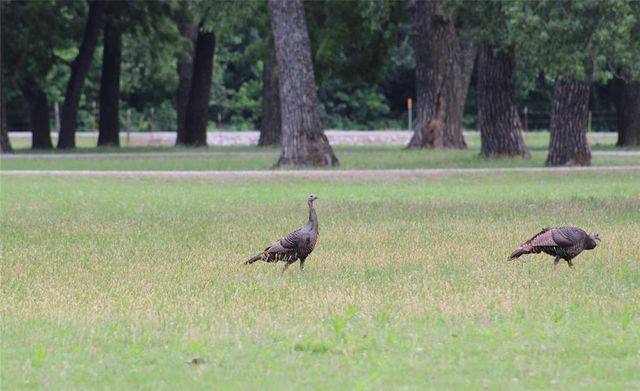 13477 State HWY 74B, Blanchard, OK 73010