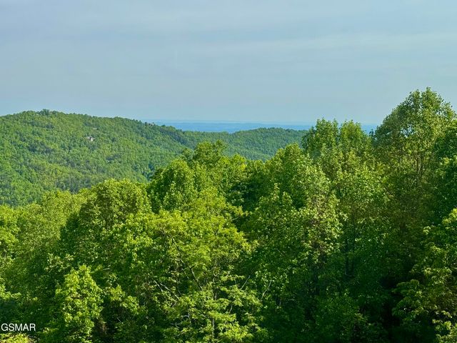 1102 Ski View Drive, Gatlinburg, TN 37738