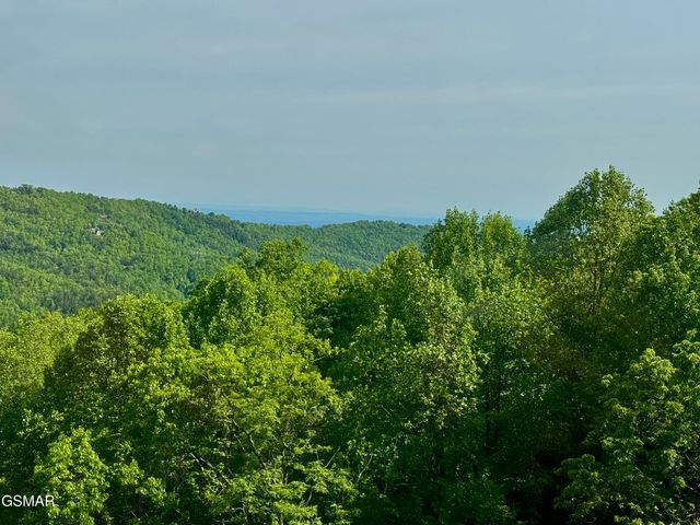 1102 Ski View Drive, Gatlinburg, TN 37738