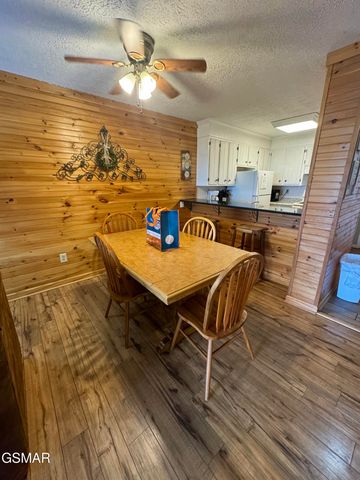1102 Ski View Drive, Gatlinburg, TN 37738