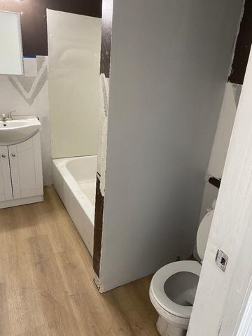 11809 S Lafayette Avenue, Chicago, IL 60628