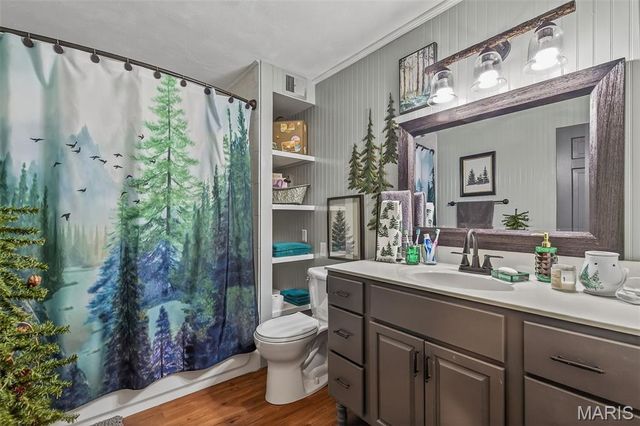 434 Rue Martel, Bonne Terre, MO 63628