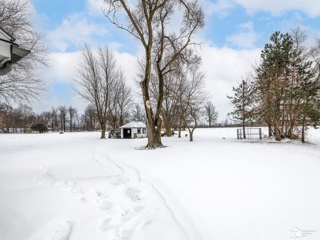 19135 Ida Center Road, Summerfield Twp, MI 49270