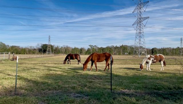 10303 Greenwillow Drive, Houston, TX 77035