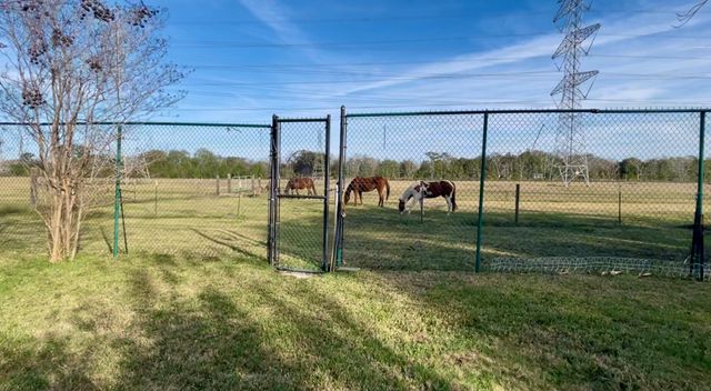 10303 Greenwillow Drive, Houston, TX 77035