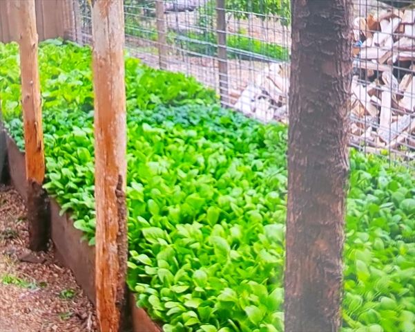 463 Holtshire Rd, Orange, MA 01364