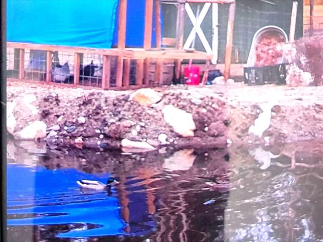 463 Holtshire Rd, Orange, MA 01364