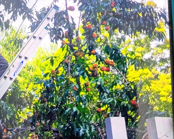 463 Holtshire Rd, Orange, MA 01364