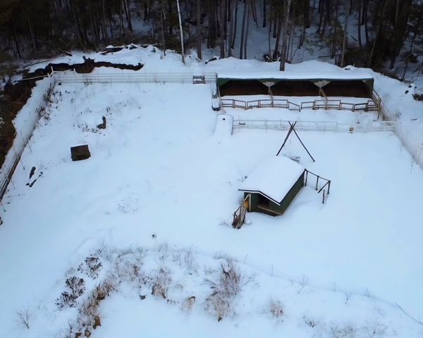 463 Holtshire Rd, Orange, MA 01364