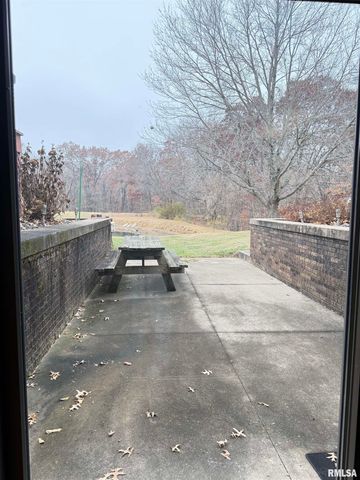 14850 RAY Road, Rushville, IL 62681