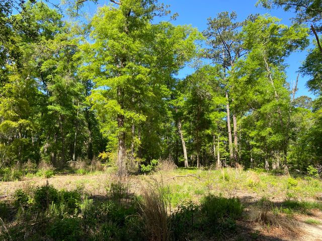 6079 Josie Ridge Road, Wadmalaw Island, SC 29487