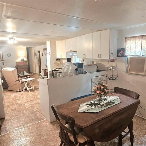 24533 PINK PANTHER ROAD, Paisley, FL 32767