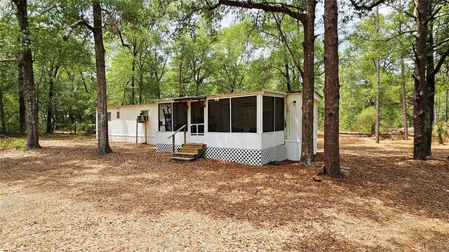 24533 PINK PANTHER ROAD, Paisley, FL 32767