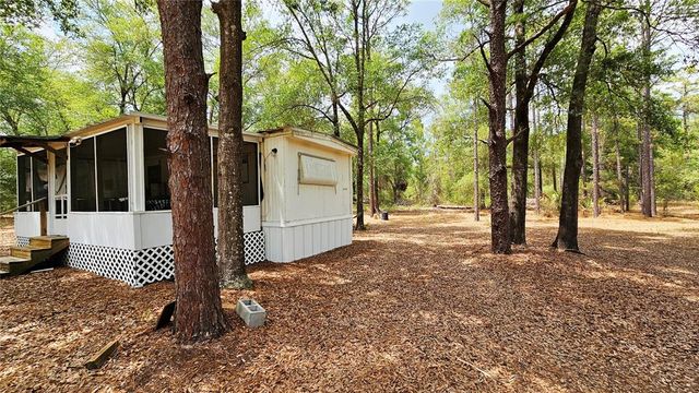 24533 PINK PANTHER ROAD, Paisley, FL 32767