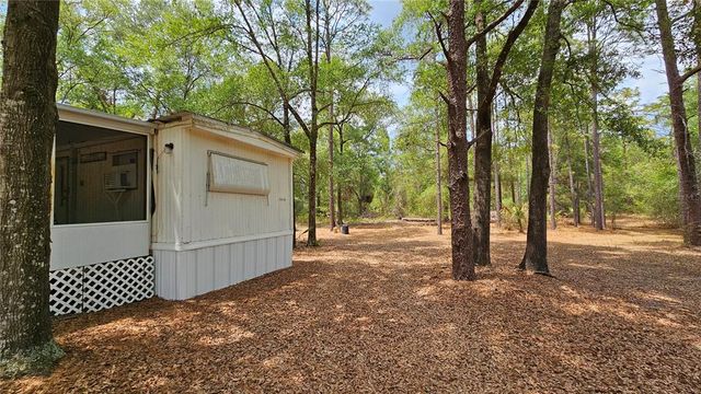 24533 PINK PANTHER ROAD, Paisley, FL 32767