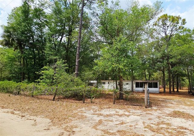 24533 PINK PANTHER ROAD, Paisley, FL 32767