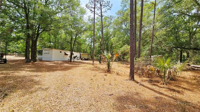 24533 PINK PANTHER ROAD, Paisley, FL 32767