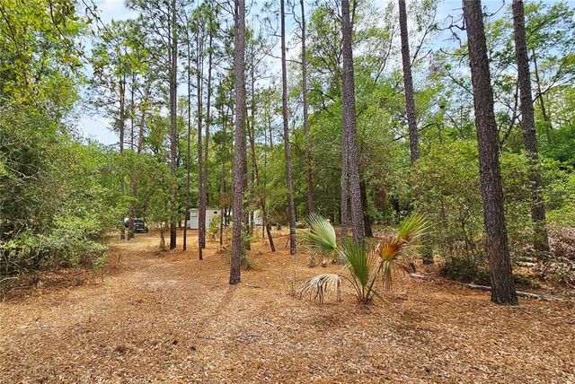 24533 PINK PANTHER ROAD, Paisley, FL 32767