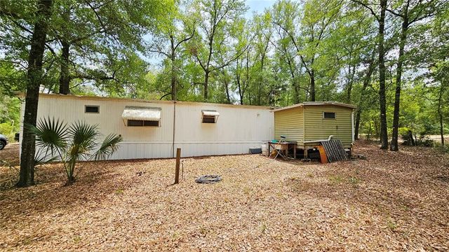 24533 PINK PANTHER ROAD, Paisley, FL 32767