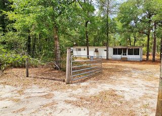 24533 PINK PANTHER ROAD, Paisley, FL 32767