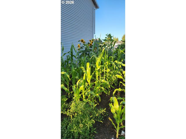 641 Mary Dr, Molalla, OR 97038