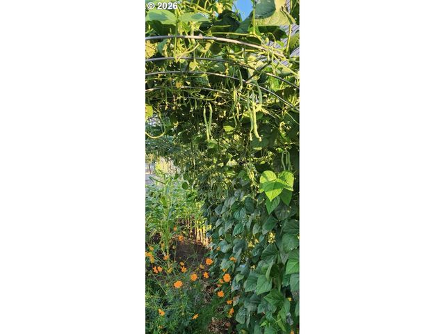 641 Mary Dr, Molalla, OR 97038