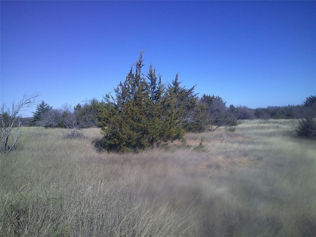 Tr 4E CR 1750, Chico, TX 76431