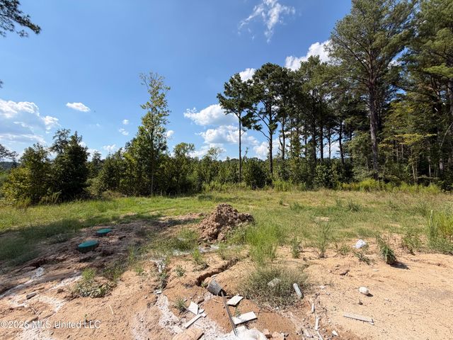 301 Stronghold Drive, Brandon, MS 39042