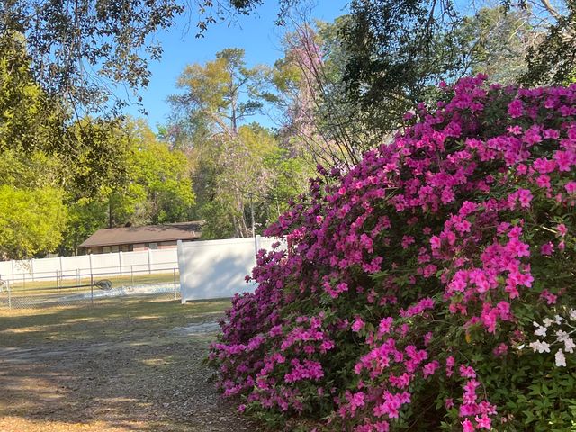 204 Gervais Street, Walterboro, SC 29488