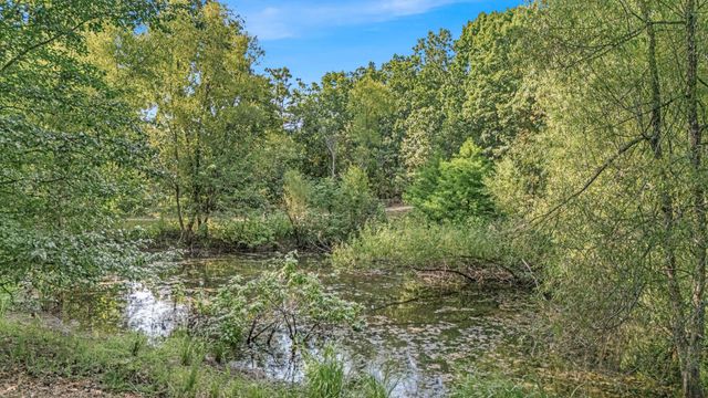 7644 County Road 8280, West Plains, MO 65775