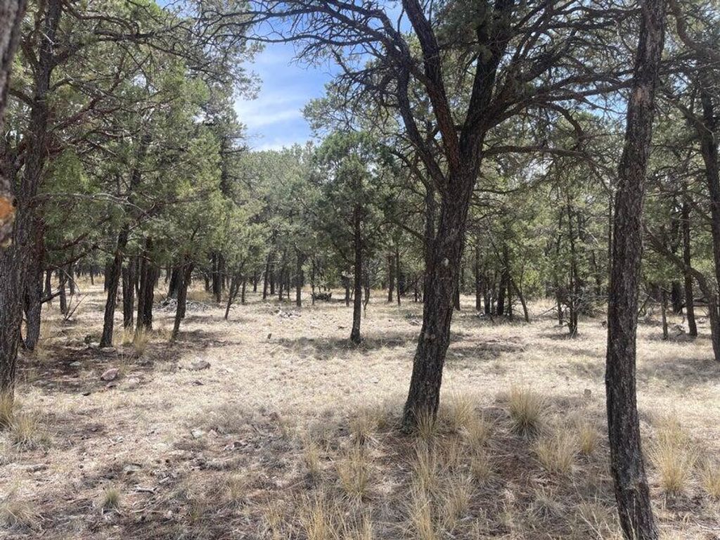 Lot 30 Hop Canyon Road, Magdalena, NM 87825