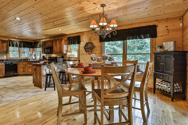 175 Cochise Road, Blue Ridge, GA 30513