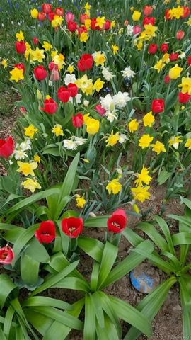 628 Harrison Street, Denver, CO 80206