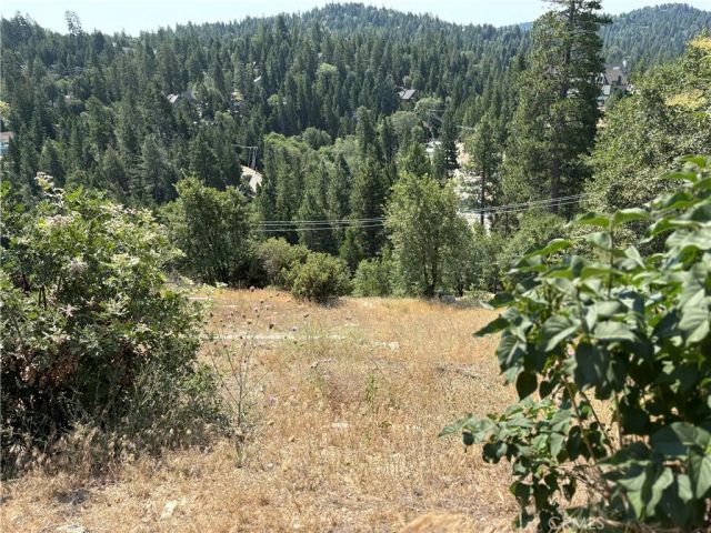 26801 inyo, Lake Arrowhead, CA 92352