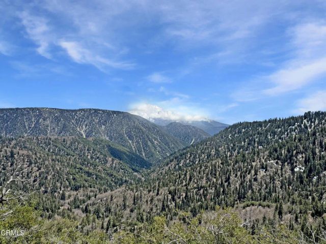 42791 Ursa Major Way, Big Bear Lake, CA 92315