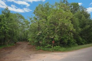 29007 Pardun Road, Danbury, WI 54830