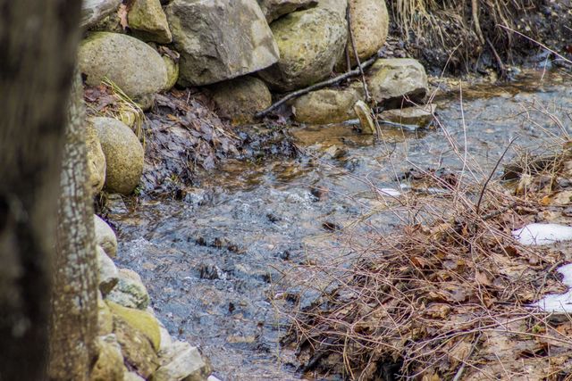 1388 Gray Drive 8, Traverse City, MI 49684